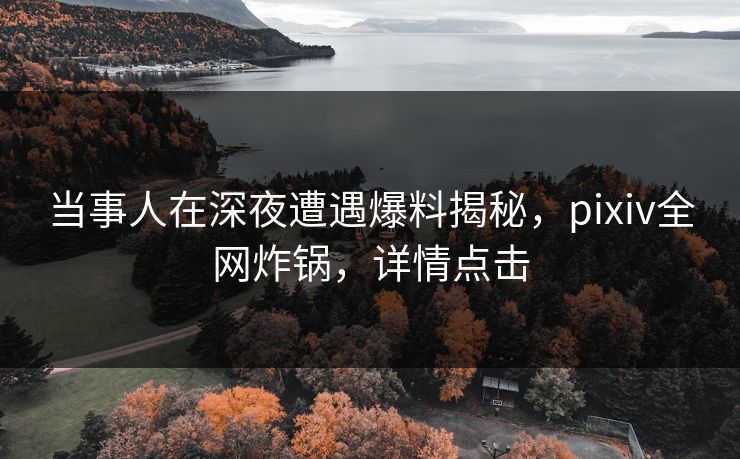 当事人在深夜遭遇爆料揭秘,pixiv全网炸锅,详情点击 当事人在深夜遭遇爆料揭秘,pixiv全网炸锅,详情点击