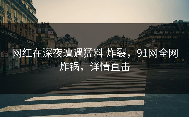 网红在深夜遭遇猛料 炸裂，91网全网炸锅，详情直击